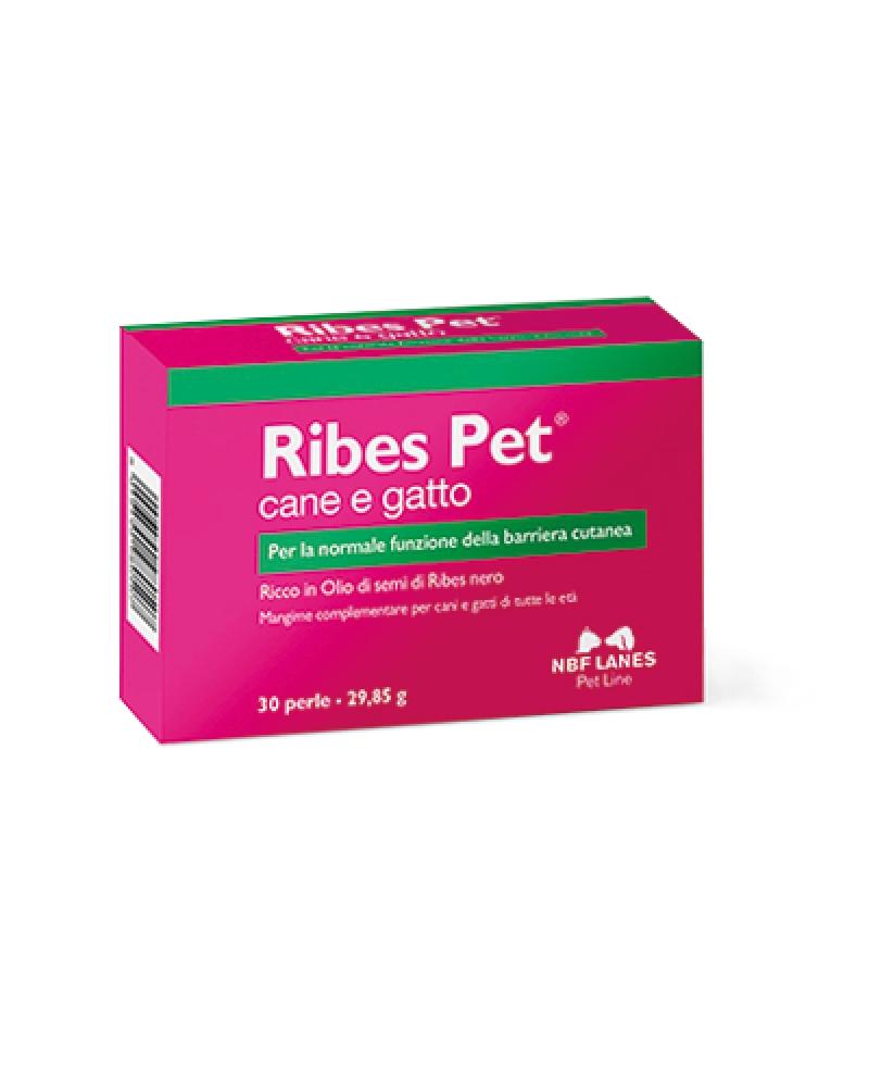 Ribes-Pet-ok.png