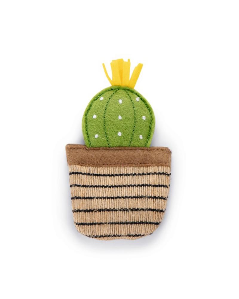 cactus-oria-erba-gatta.jpg