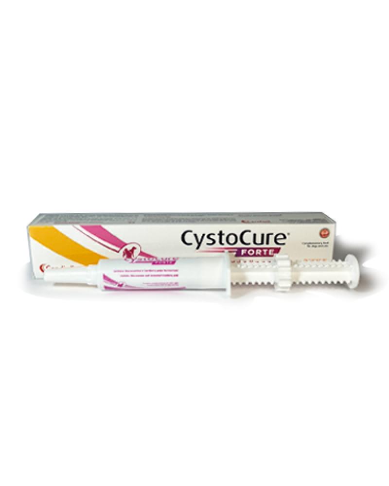 cystocure-forteok.png