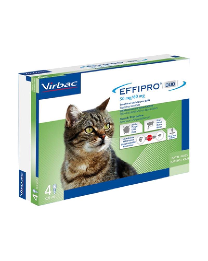 effipro-gatto-ok.png